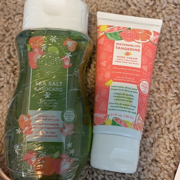 Scentsy Bundle - Picture 4 of 5